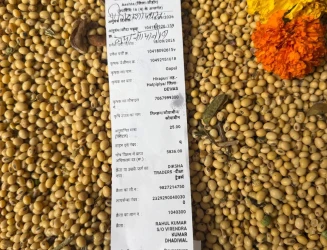 आष्टा मंडी में नए सोयाबीन की पहली आवक, 25 व्यापारियों ने लगाई बोली