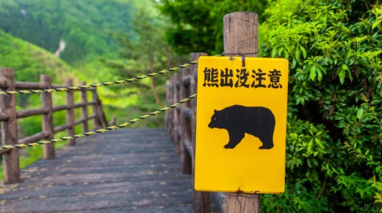 Japan trail reopens after fatal bear attack, then another bear strands 4 hikers