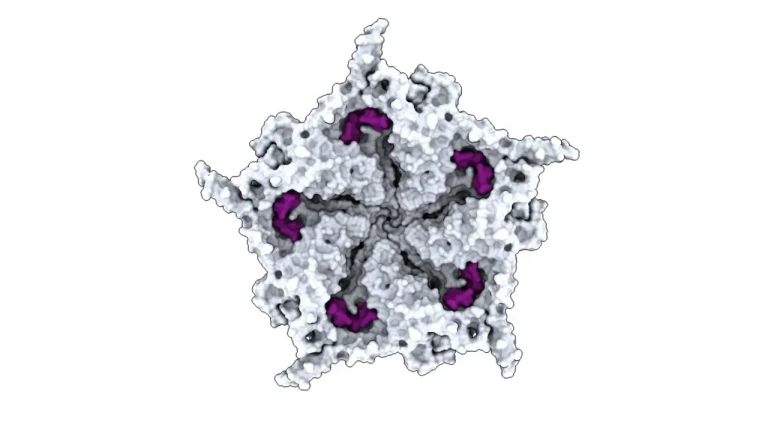 Scientists used AI to build 16 new viruses, raising fears of AI-designed bioweapons