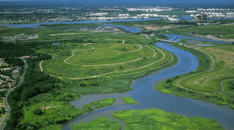 New York's Bluebelt wetlands saved $80 million in infrastructure costs